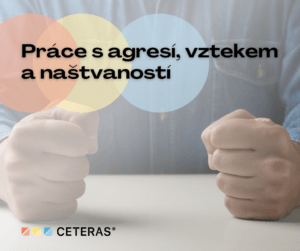 Práce s agresí, vztekem<br>a naštvaností<br>2. 6. 2026